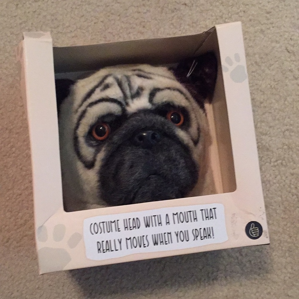 Pug mask